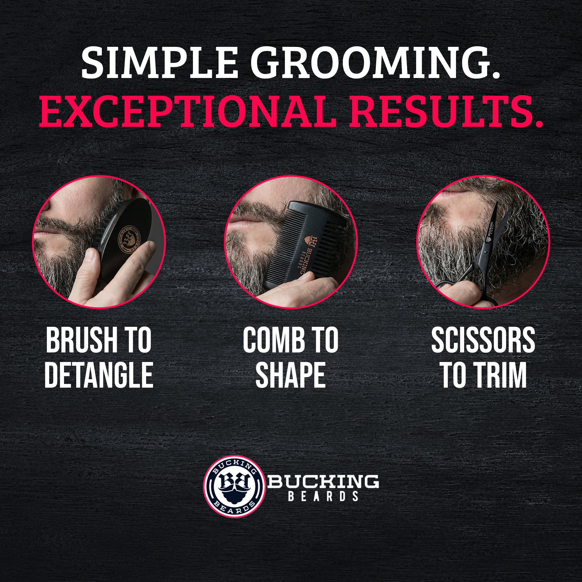 Hypoallergenic, Vegan Beard Kit